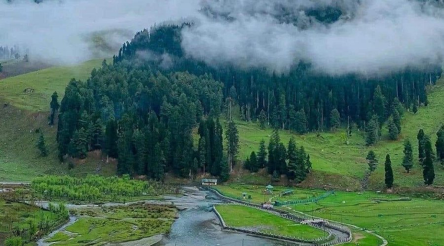 Stunning Kashmir With Doodhpatri Special