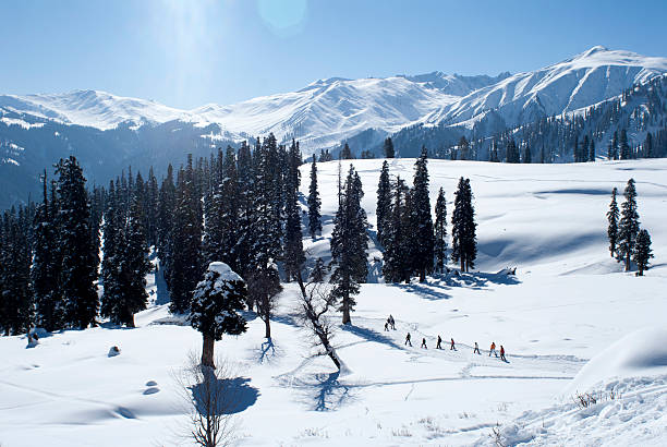Exotic Kashmir With Gulmarg Stay Durga Puja Special