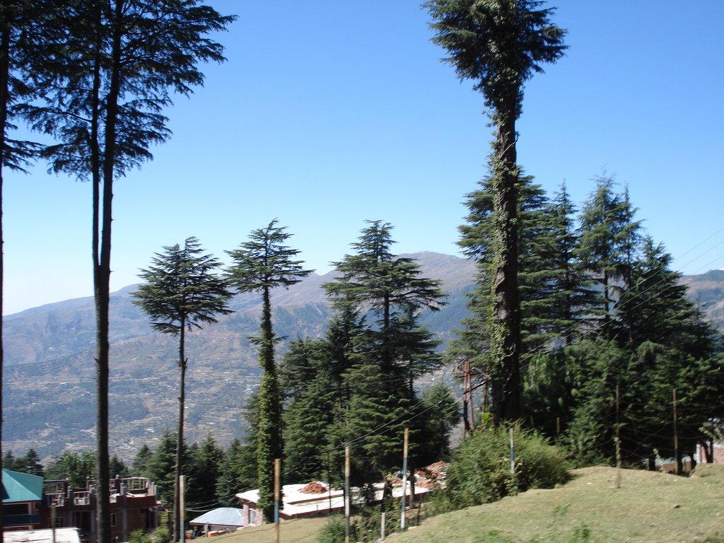 Vaishno Devi Heli Yatra with Patnitop
