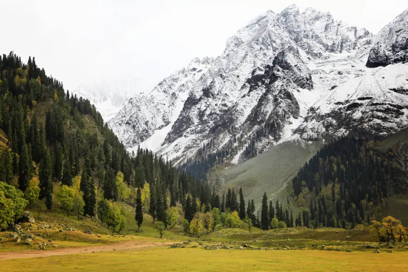 Kashmir - Pahalgam Gulmarg Sonmarg Special