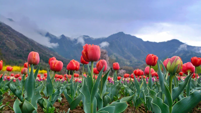 Full Of Kashmir: route photograph 2